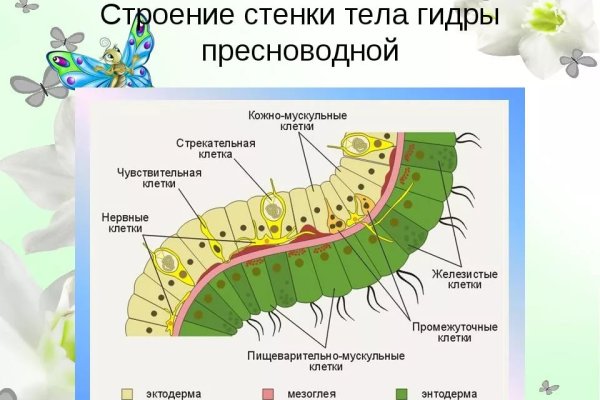 Кракен сайт kraken2