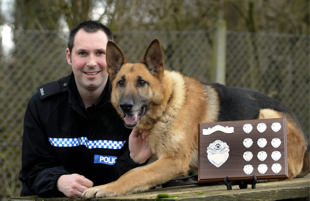 Dog handler jobs in the police force